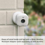 Blink Mini 2 Wireless Indoor/Outdoor Security Camera
