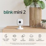 Blink Mini 2 Wireless Indoor/Outdoor Security Camera