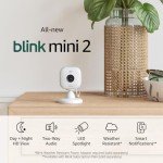 Blink Mini 2 Wireless Indoor/Outdoor Security Camera