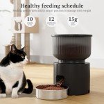 Smart WiFi Cat Feeder with App Control 3L