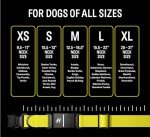 Fi Series 3 Smart Dog Collar - GPS Tracker & Monitor