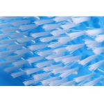 EVERMARKET Simple Feet Cleaner, Magic Foot Scrubber, Exfoliating Easy Feet Cleaning Brush, Foot Shower Spa Massager Slippers for Unisex Adults