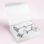 Ashley Aesthetics Stainless Steel Ice Roller & Rose Quartz Facial Set | Luxury Skin Care Tools for Lymphatic Drainage, Product Absorption, Skin Tightening, & Relaxation