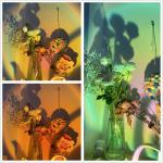 XINJI Sunset Lamp Projector Rainbow Projection Lamp Romantic Led Sunset Projection Light for Party Photo Vlog Background Bedroom (16 Colors)