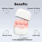 Small Ice Roller with Case & 2 Pcs Facial Cleansing Brushes