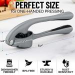 Zulay Kitchen Premium Garlic Press Set - Rust Proof & Dishwasher Safe Professional Garlic Mincer Tool - Easy-Squeeze, Easy-Clean with Soft, Ergonomic Handle - Silicone Garlic Peeler & Brush (Slate)