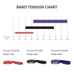 POWER GUIDANCE Pull Up Assist Bands - Stretch Resistance Band - Resistance Band bar - Powerlifting Bands - Perfect for Body Stretching, Powerlifting, Resistance Training (bar kit)