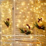 DealBeta Battery Operated Curtain Lights,9.8ft×9.8ft 300 LED Curtain Lights with Remote Timer 8 Modes, Waterproof Hanging Fairy Lights for Outdoor Indoor Wedding Christmas Decor (Warm White)