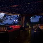 Rossetta Galaxy Projector, Star Projector LED Lights for Bedroom, Outdoor Lighting Projector, Starry Night Light with White Noise and Bluetooth Speaker, Gifts for Kids Adults Christmas, Birthdays