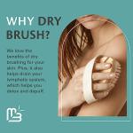 Firm Dry Brush & Shower Brush for Body - Handheld Back Scrubber Body Brush Exfoliator & Dead Skin Remover for Body Firm & Tighten Skin Improve Circulation for Men & Women by M3 Naturals
