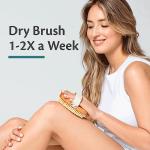 Firm Dry Brush & Shower Brush for Body - Handheld Back Scrubber Body Brush Exfoliator & Dead Skin Remover for Body Firm & Tighten Skin Improve Circulation for Men & Women by M3 Naturals