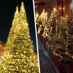 Selarlyt 200 LED 72Ft Solar String Lights for Outside, Solar Fairy Lights for Outside Waterproof with 8 Modes, Twinkle Light for Patio Tree Christmas Party Wedding Decor(Warm White)