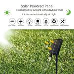 SHUKAN 220 LED Solar Firefly Bunch Lights, 8 Flashing Modes, Fairy Copper Wire Waterproof String Light, Decorative Vine Solar Watering Can Light, Outdoor Garden Christmas Decor Lights (Warm White)