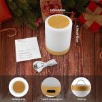 Aoliontoy Bedside Lamp, Touch Control Night Light with 1-3 Hour Timer, RGB Colors Changing and 5 Levels Adjustable Brightness, Rechargeable Light for Camping, Bedroom, Christmas, Kids Nursery.