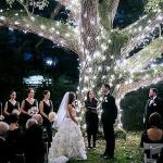 Vicloon Fairy Curtain Lights,300 LED White Curtain Lights,8 Modes 9.8×9.8Ft Waterproof Window Curtain String Light USB Powered with Remote Control,Christmas String Lights Curtain for Indoor/Outdoor