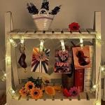 20 LED Photo Clip Fairy String Light,Indoor Outdoor Battery Box Powered,Remote,8 Modes,Timer,Valentine's Day Gift for Hanging Picture,Card,Artwork,Memos in Dorm,Bedroom,Wall Decoration (Warm White)