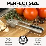 Zulay Kitchen Premium Garlic Press Set - Rust Proof Professional Garlic Mincer Tool - Easy-Squeeze, Easy-Clean with Soft, Ergonomic Handle - Silicone Garlic Peeler & Brush (Silver)