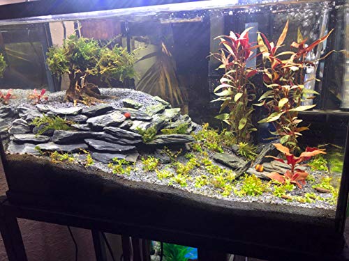 Voulosimi Natural Slate Rocks for Aquariums and Decor