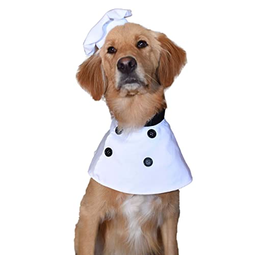 Pet Krewe Chef Dog Costume – Sizes S to XL