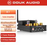 Douk Audio X1 JAN5725 Tube Power Amplifier