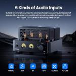 CrBoke 100W Tube Amplifier with Bluetooth & VU Meter