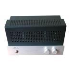 Oldchen KT88-K1 Tube Amplifier for Home Audio