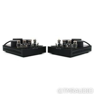 BAT REX Monoblock Tube Amplifiers - Black Pair