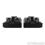 BAT REX Monoblock Tube Amplifiers - Black Pair