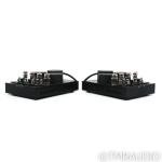 BAT REX Monoblock Tube Amplifiers - Black Pair