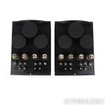 BAT REX Monoblock Tube Amplifiers - Black Pair