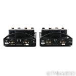 BAT REX Monoblock Tube Amplifiers - Black Pair