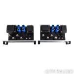 VTL MB-125 Monoblock Tube Amplifier Pair
