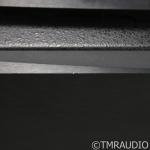 BAT REX Monoblock Tube Amplifiers - Black Pair