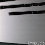 VTL MB-125 Monoblock Tube Amplifier Pair