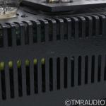 BAT REX Monoblock Tube Amplifiers - Black Pair