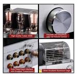 YAQIN MS 500B Class A Vacuum Tube Amplifier