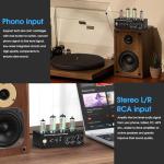 Douk Audio T9 Tube Phono Preamp for Turntables