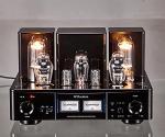 Willsenton R800i 300B 845 Tube Integrated Amplifier