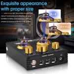Douk Audio Bluetooth Tube Preamp and Headphone Amp