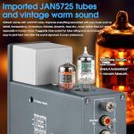 Douk Audio HiFi Tube Phono Preamp and Headphone Amp