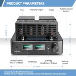 CrBoke Bluetooth Tube Amplifier with Phono Preamp