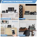 CrBoke Bluetooth Tube Amplifier with Phono Preamp