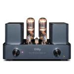 Oilily A211 Class A Vacuum Tube Amplifier