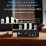 Magic 6E2 Tube Phono Preamp for Turntables