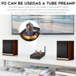 Douk Audio P2 Bluetooth Tube Headphone Amplifier