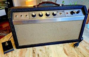 Rare 60's Gibson Tube Reverb Echo Amplifier