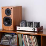 Nobsound Class A HIFI Stereo Tube Amplifier