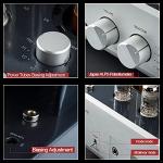 Muzishare X5 Integrated Tube Amplifier with XLR Input
