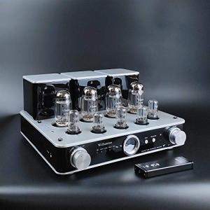 Willsenton R8 Tube Amplifier with Headphone Jack