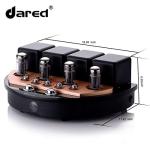 Dared DV-100 Push-Pull Tube Amplifier with Subwoofer Output